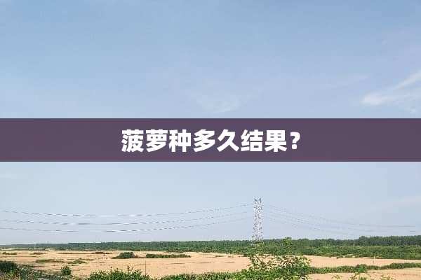 菠萝种多久结果？