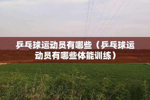 乒乓球运动员有哪些（乒乓球运动员有哪些体能训练）