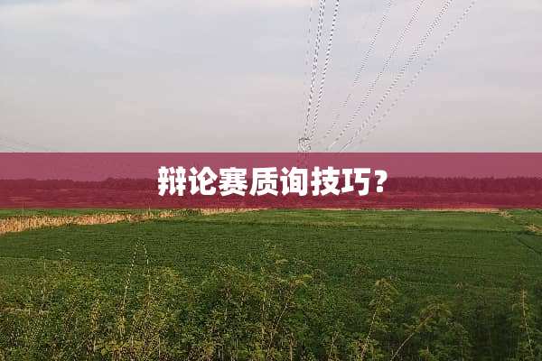 辩论赛质询技巧？
