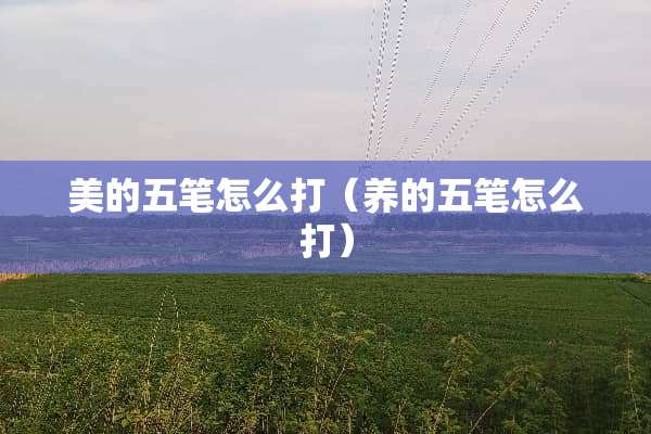 美的五笔怎么打（养的五笔怎么打）
