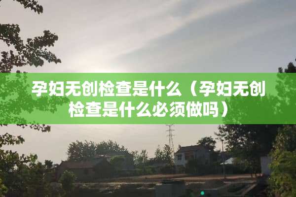 孕妇无创检查是什么（孕妇无创检查是什么必须做吗）