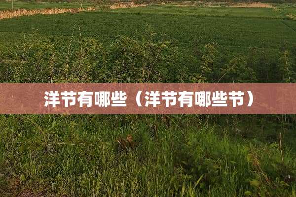 洋节有哪些（洋节有哪些节）