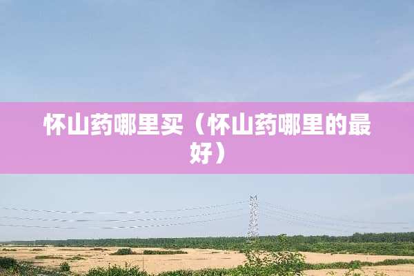 怀山药哪里买（怀山药哪里的最好）