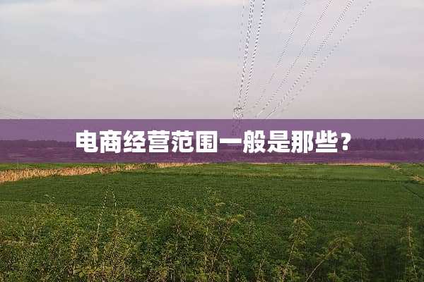 电商经营范围一般是那些？
