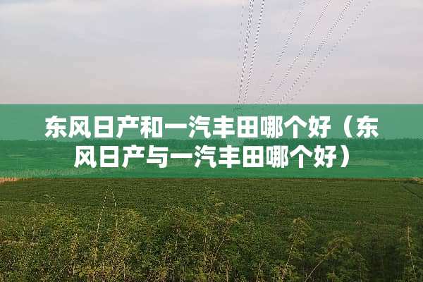 东风日产和一汽丰田哪个好（东风日产与一汽丰田哪个好）
