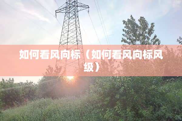如何看风向标（如何看风向标风级）