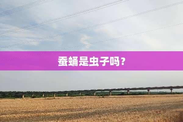 蚕蛹是虫子吗？