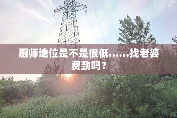 厨师地位是不是很低……找老婆费劲吗？