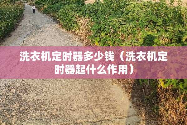 洗衣机定时器多少钱（洗衣机定时器起什么作用）