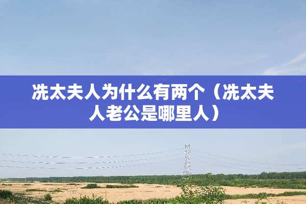 冼太夫人为什么有两个（冼太夫人老公是哪里人）