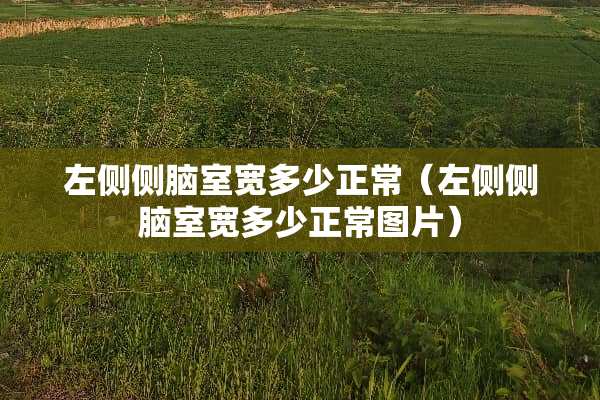 左侧侧脑室宽多少正常（左侧侧脑室宽多少正常图片）