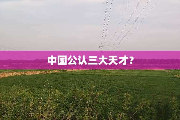 中国公认三大天才？