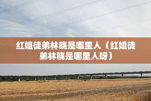 红姐徒弟林晓是哪里人（红姐徒弟林晓是哪里人呀）