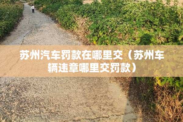 苏州汽车罚款在哪里交（苏州车辆违章哪里交罚款）