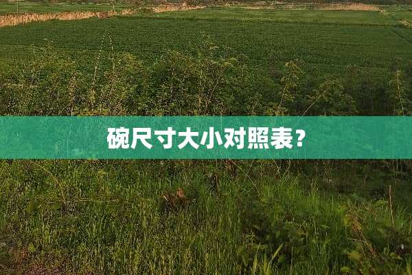 碗尺寸大小对照表？