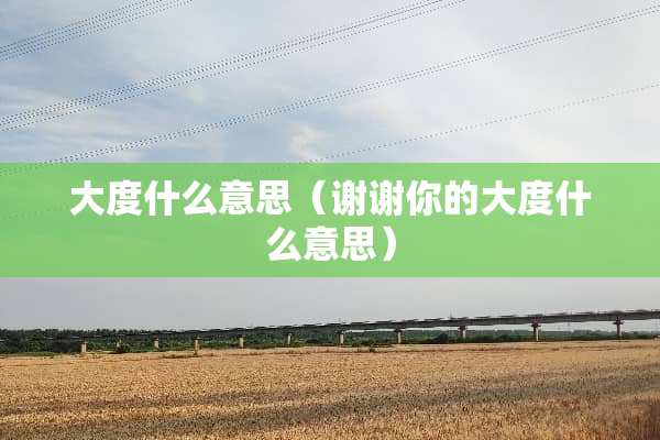 大度什么意思（谢谢你的大度什么意思）