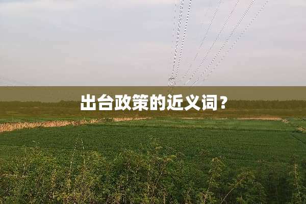 **政策的近义词？