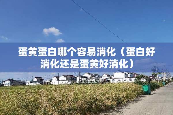 蛋黄蛋白哪个容易消化（蛋白好消化还是蛋黄好消化）