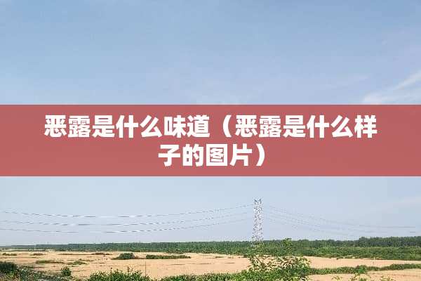 恶露是什么味道（恶露是什么样子的图片）