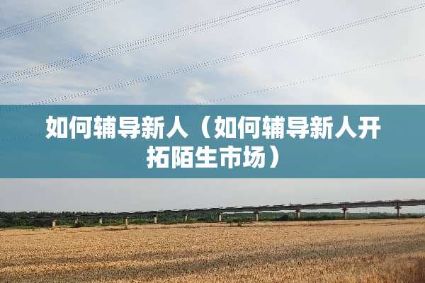 如何辅导新人（如何辅导新人开拓陌生市场）