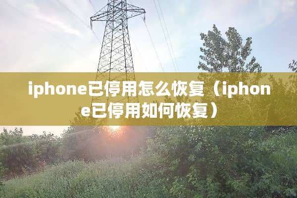 iphone已停用怎么恢复（iphone已停用如何恢复）