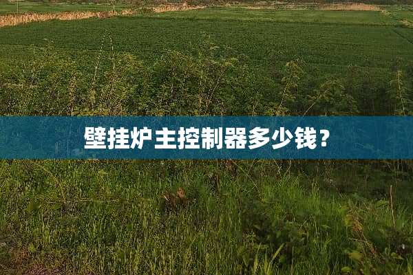壁挂炉主***多少钱？