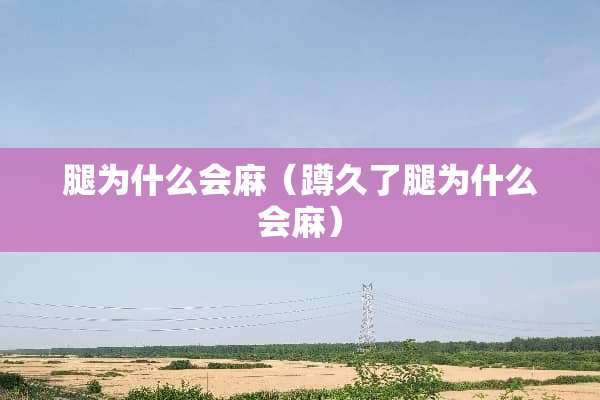 腿为什么会麻（蹲久了腿为什么会麻）