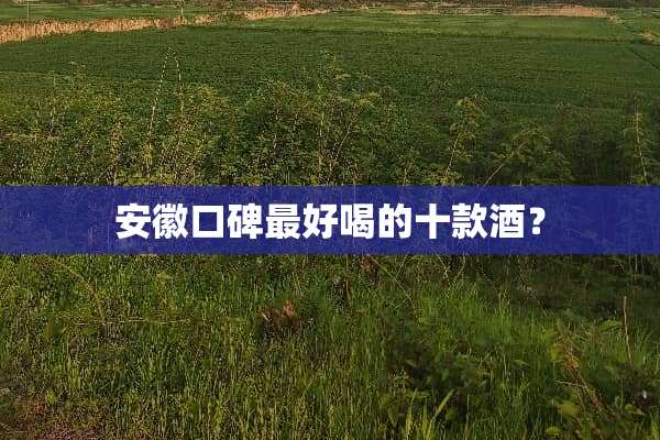 安徽口碑最好喝的十款酒？