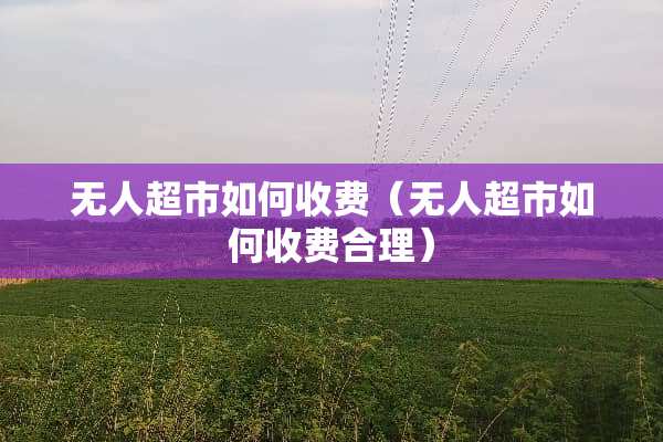 无人超市如何收费（无人超市如何收费合理）