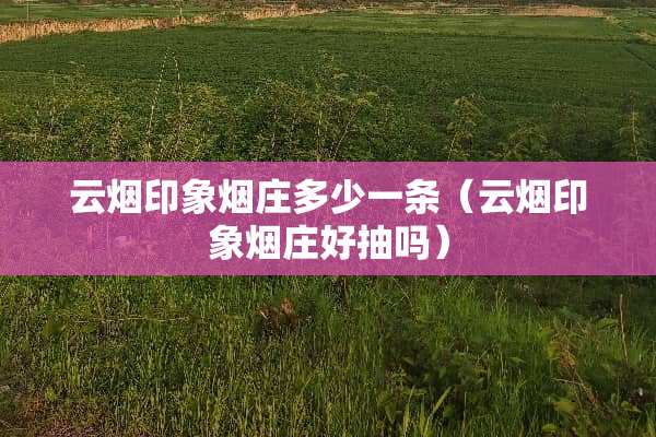 云烟印象烟庄多少一条（云烟印象烟庄好抽吗）
