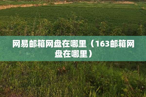 网易邮箱网盘在哪里（163邮箱网盘在哪里）