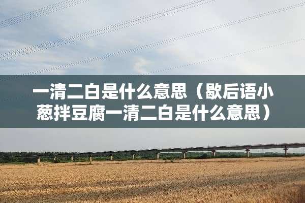 一清二白是什么意思（歇后语小葱拌豆腐一清二白是什么意思）