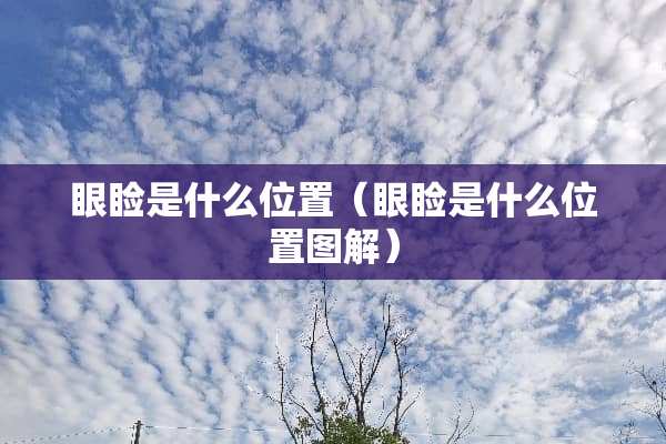 眼睑是什么位置（眼睑是什么位置图解）