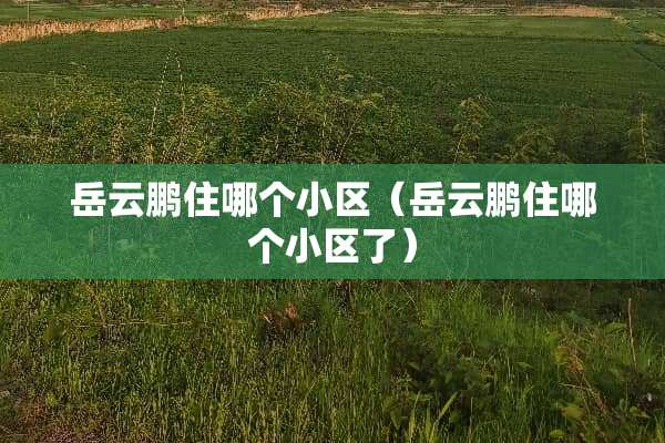 岳云鹏住哪个小区（岳云鹏住哪个小区了）