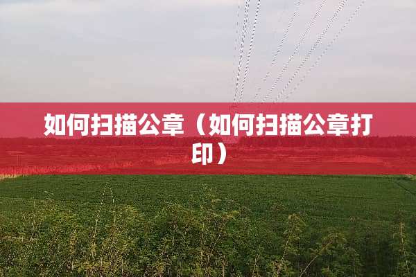 如何扫描公章（如何扫描公章打印）