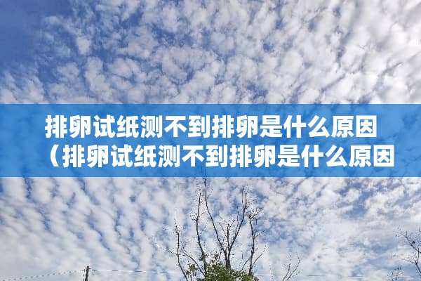 排卵试纸测不到排卵是什么原因（排卵试纸测不到排卵是什么原因引起的）