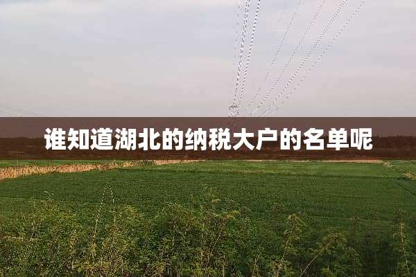 谁知道湖北的纳税大户的名单呢