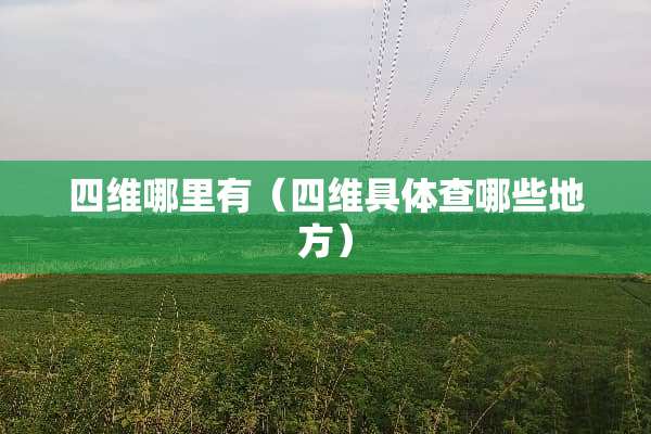 四维哪里有（四维具体查哪些地方）