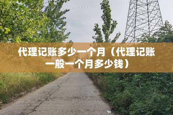 代理记账多少一个月（代理记账一般一个月多少钱）