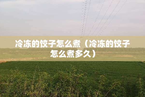 冷冻的饺子怎么煮（冷冻的饺子怎么煮多久）