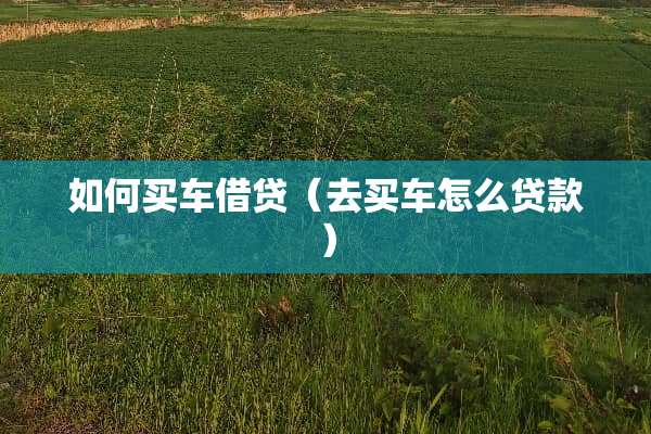 如何买车借贷（去买车怎么贷款）
