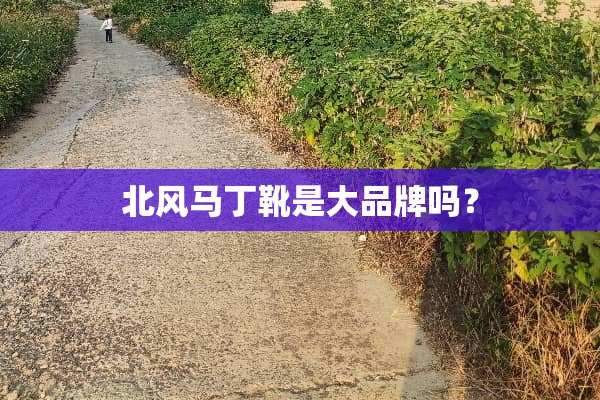 北风马丁靴是大品牌吗？
