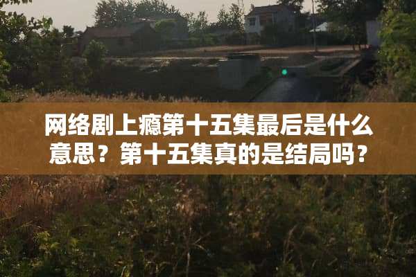 网络剧上瘾第十五集最后是什么意思？第十五集真的是结局吗？
