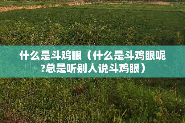 什么是斗鸡眼（什么是斗鸡眼呢?总是听别人说斗鸡眼）