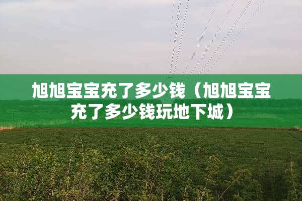 旭旭宝宝充了多少钱（旭旭宝宝充了多少钱玩**城）