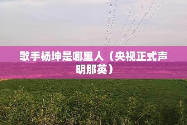 歌手杨坤是哪里人（央视正式声明那英）