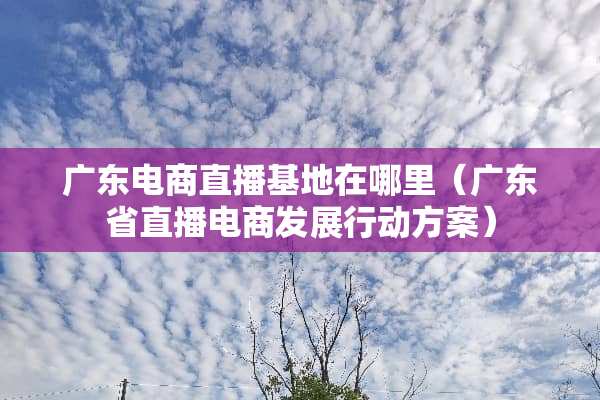 广东电商直播基地在哪里（广东省直播电商发展行动方案）