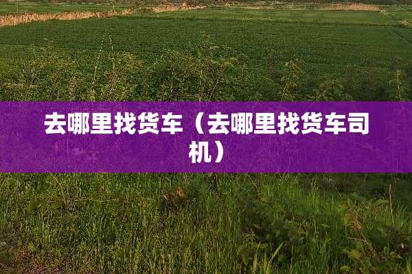 去***货车（去***货车司机）