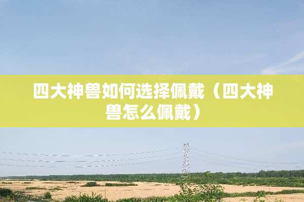四大神兽如何选择佩戴（四大神兽怎么佩戴）