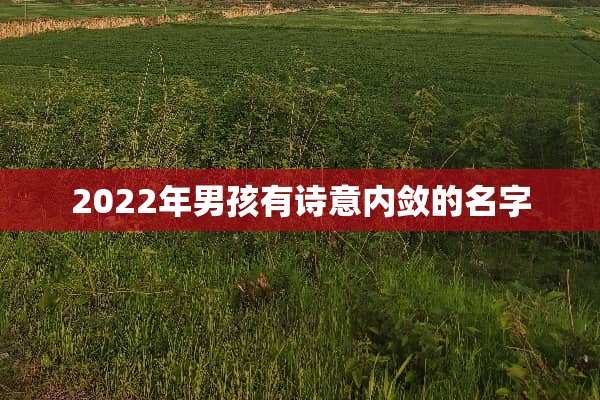 2022年男孩有诗意内敛的名字